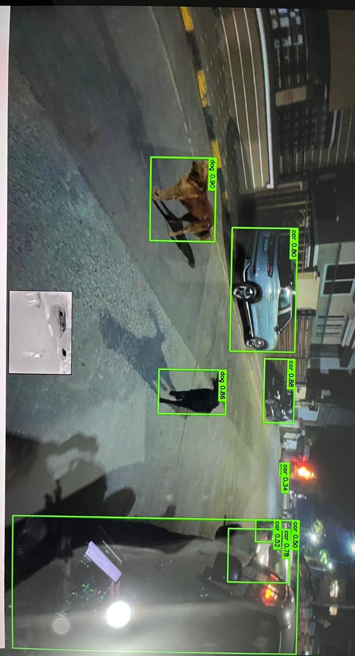 HAWKAI AI detecting cars and a dog with thermal view inset.